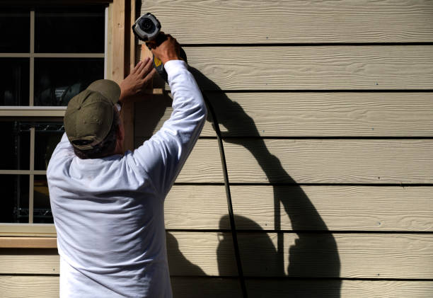 Best Siding Painting and Refinishing  in Vienna, VA